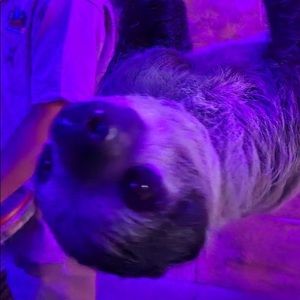 Meet your Posher, Abby